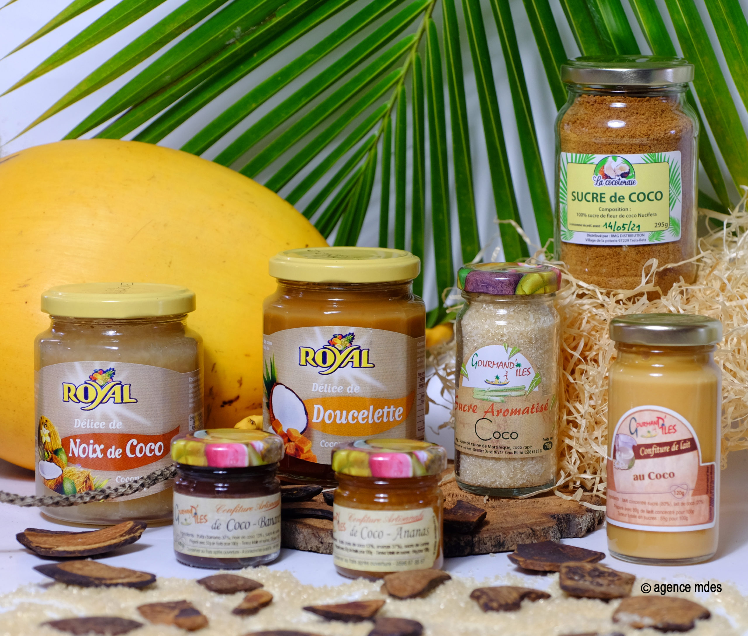 LA COCOTERAIE – Artisanat, Produit de Beauté et Gastronomie à base de noix de Coco
